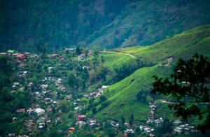 दार्जिलिंग यात्रा गाइड – चाय बागान और पहाड़