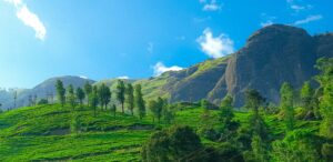 munnar-hill-station-guide